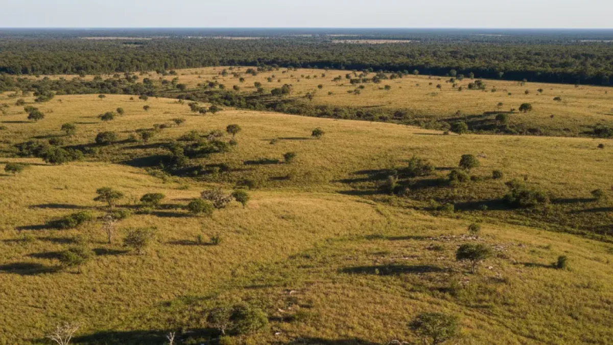 Imóvel rural no ITCMD: por que a finalidade da avaliação importa