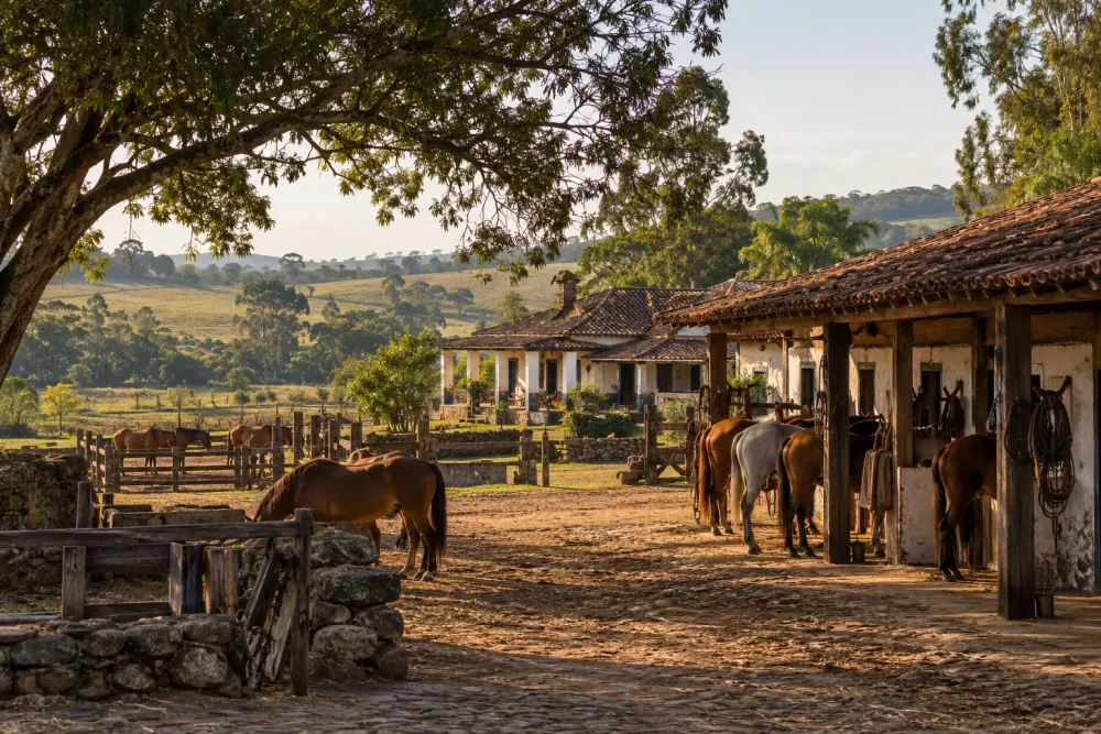 Curral e estábulo de fazenda tradicional, com cavalos — Florínia/SP