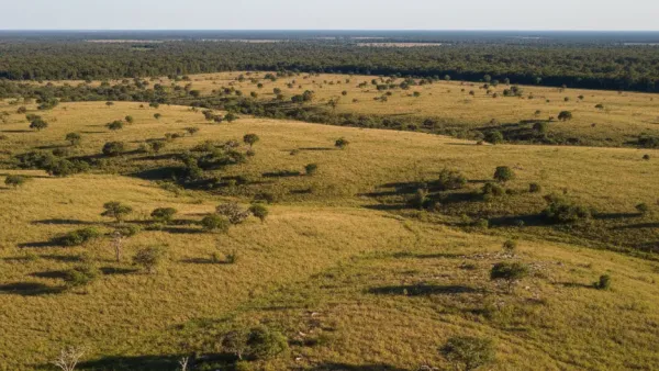 Imóvel rural no ITCMD: por que a finalidade da avaliação importa