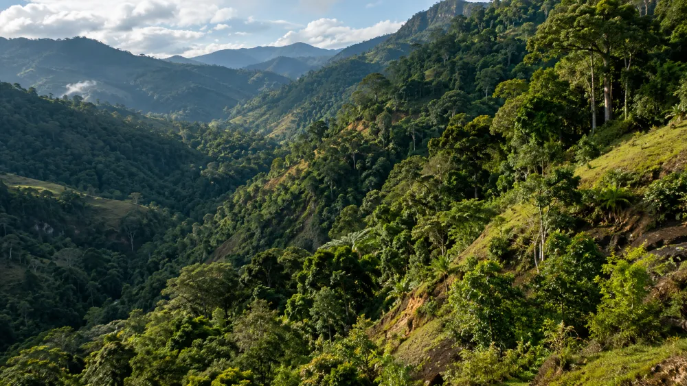 Serra coberta por mata atlântica — Ipameri/GO