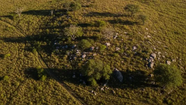 Servidão em área rural: avalie a faixa e os efeitos no imóvel